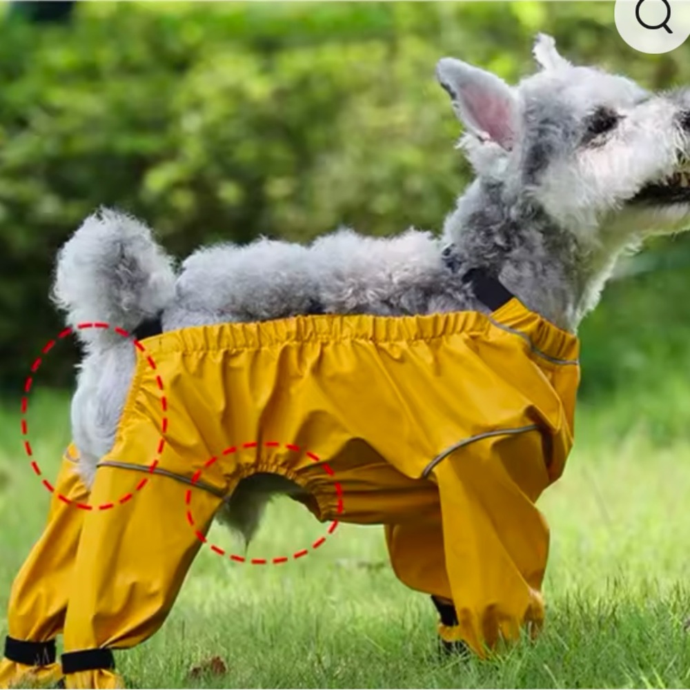 Colorful Dog Raincoat with Booties - Picture 3 of 9